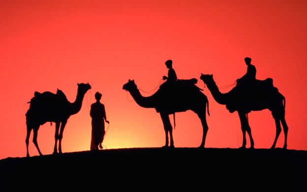 Chuyến đi săn sa mạc Abu Dhabi với bữa tối BBQ